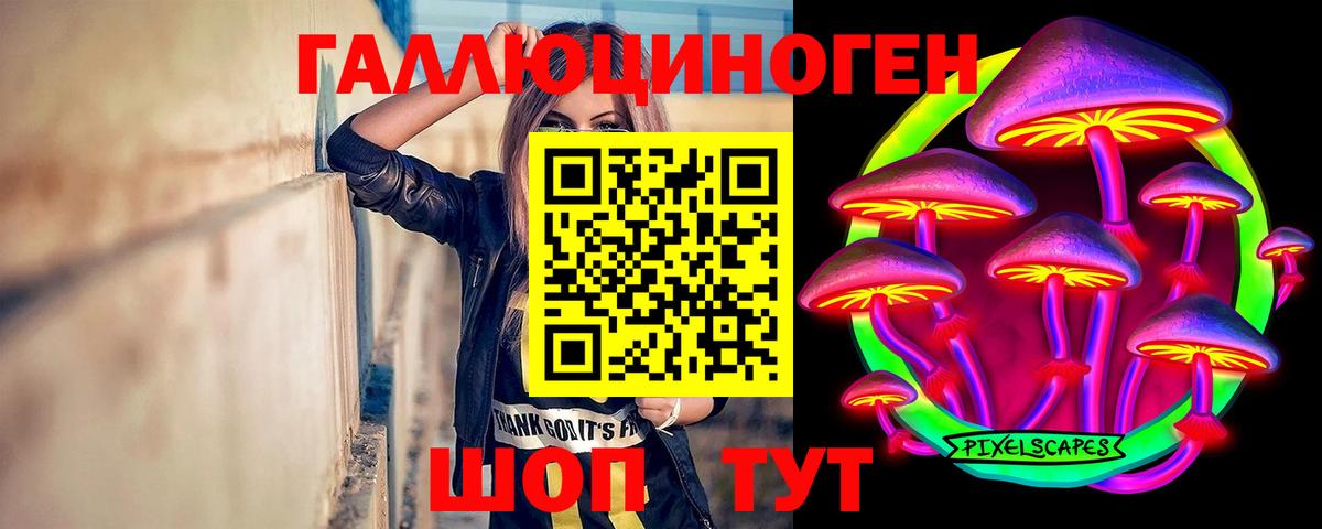 Псилоцибиновые грибы GOLDEN TEACHER  Вход с VPN  Новосибирск 